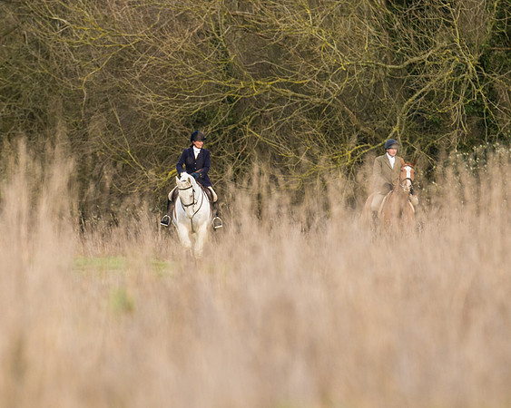 Hunt Horses (9 of 38)
