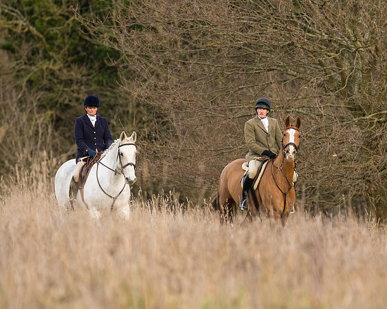 Hunt Horses (10 of 38)