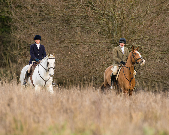 Hunt Horses (11 of 38)