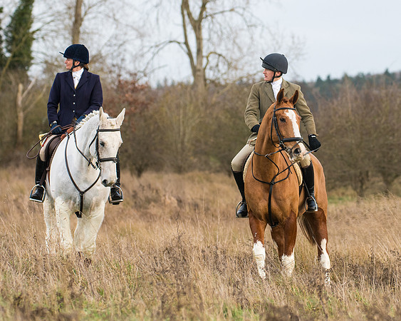 Hunt Horses (12 of 38)