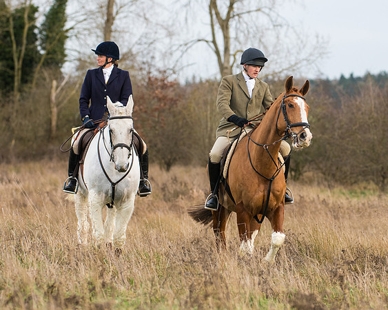 Hunt Horses (14 of 38)