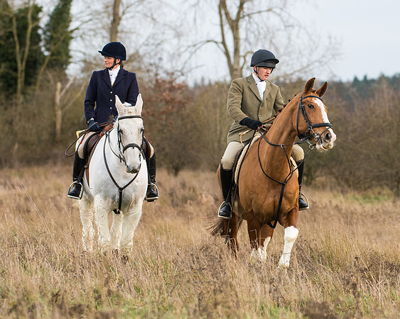 Hunt Horses (15 of 38)