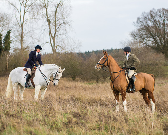 Hunt Horses (16 of 38)