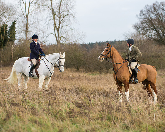Hunt Horses (18 of 38)