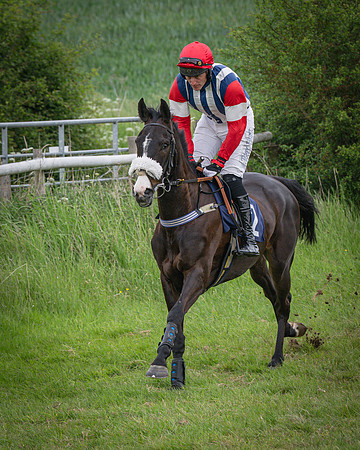 Race 5 - 3 Mile Maiden [NWFAA] (12 of 95)