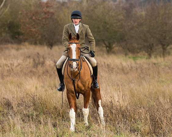 Hunt Horses (20 of 38)