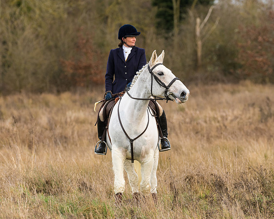 Hunt Horses (21 of 38)