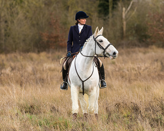 Hunt Horses (22 of 38)