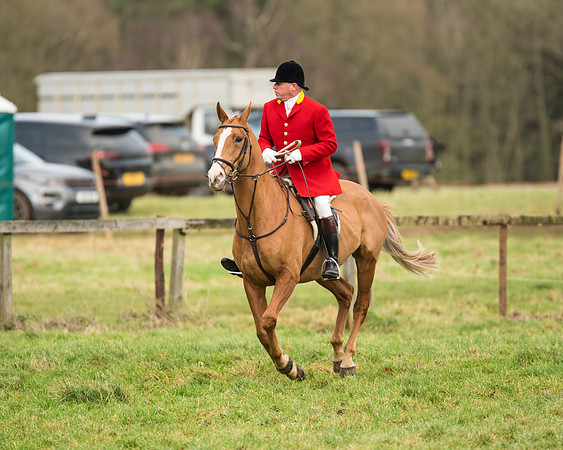 Hunt Horses (23 of 38)