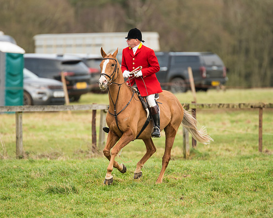 Hunt Horses (24 of 38)