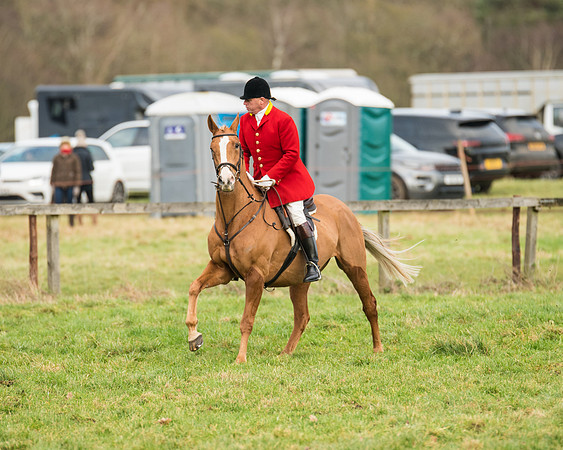 Hunt Horses (25 of 38)