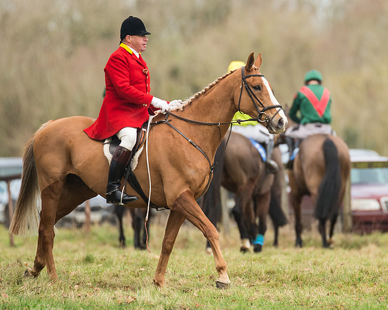 Hunt Horses (26 of 38)