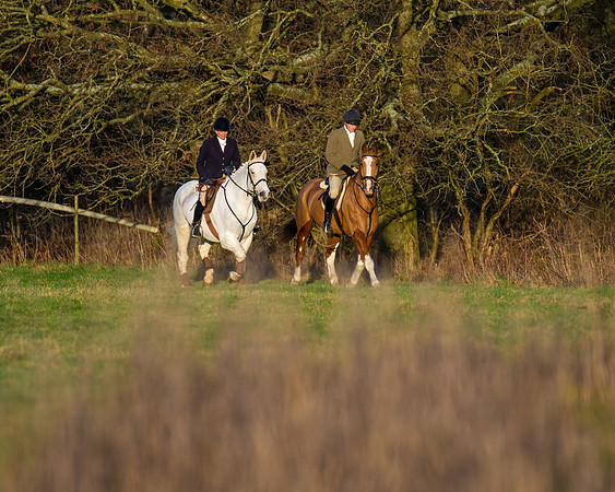 Hunt Horses (27 of 38)