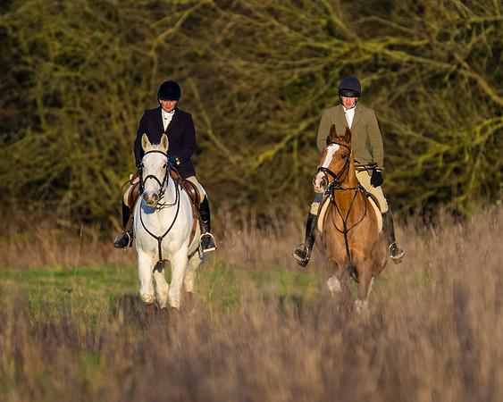 Hunt Horses (28 of 38)