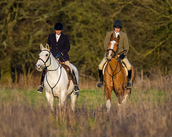 Hunt Horses (29 of 38)