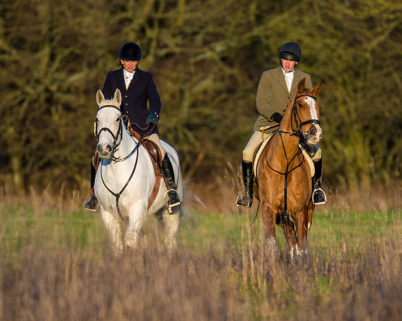 Hunt Horses (30 of 38)