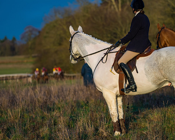 Hunt Horses (33 of 38)