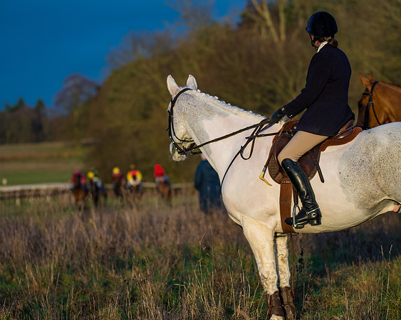 Hunt Horses (34 of 38)