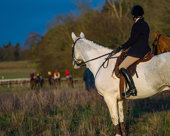 Hunt Horses (35 of 38)