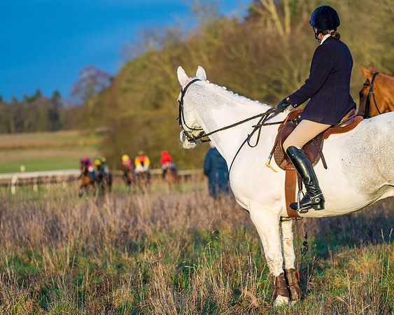 Hunt Horses (36 of 38)