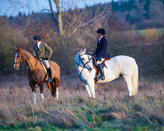 Hunt Horses (37 of 38)