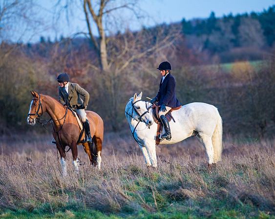 Hunt Horses (38 of 38)