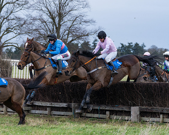 Race 1 - Conditions - Veteran Horse  (26 of 88)