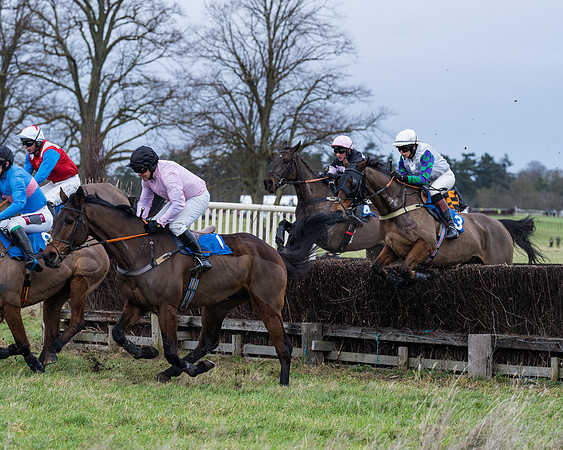 Race 1 - Conditions - Veteran Horse  (29 of 88)