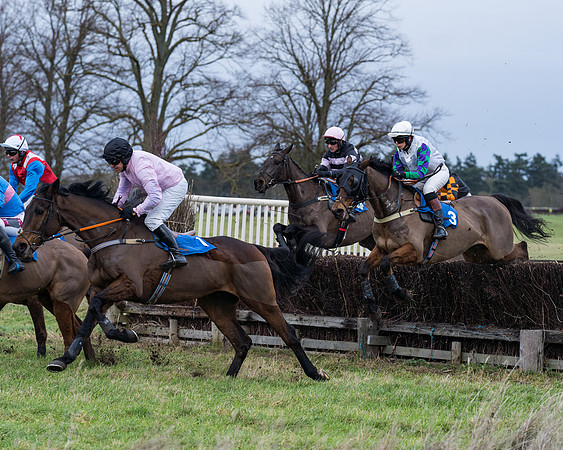 Race 1 - Conditions - Veteran Horse  (30 of 88)