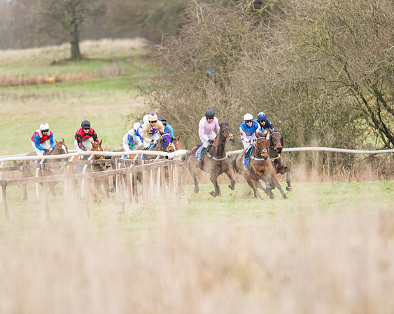 Race 1 - Conditions - Veteran Horse  (33 of 88)