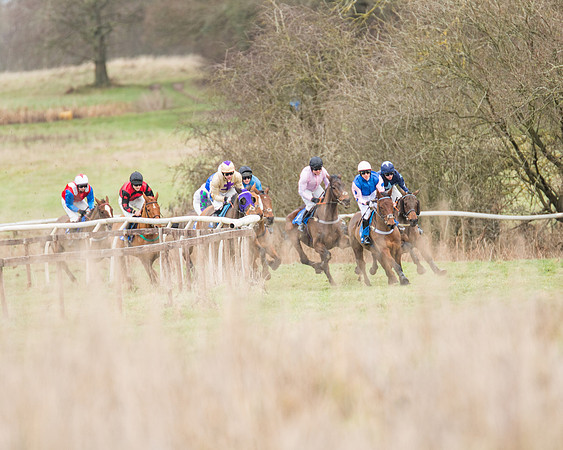 Race 1 - Conditions - Veteran Horse  (34 of 88)