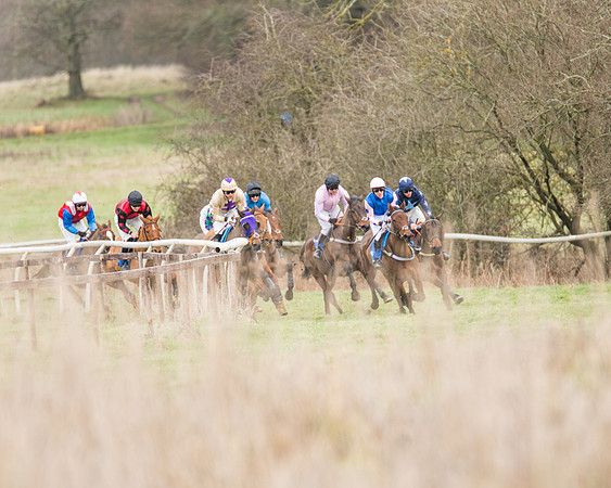 Race 1 - Conditions - Veteran Horse  (35 of 88)