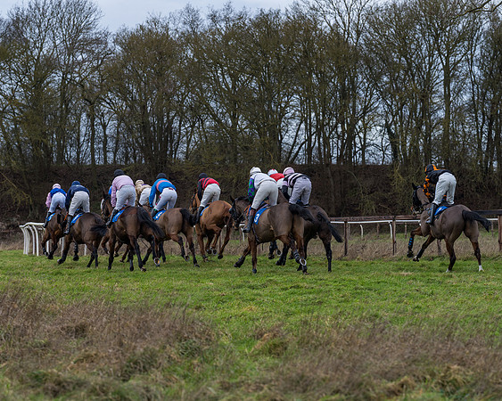 Race 1 - Conditions - Veteran Horse  (36 of 88)