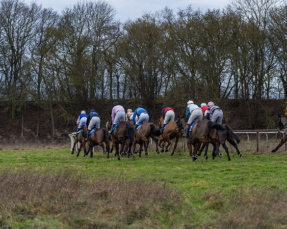 Race 1 - Conditions - Veteran Horse  (37 of 88)