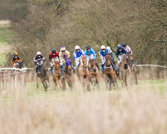 Race 1 - Conditions - Veteran Horse  (38 of 88)
