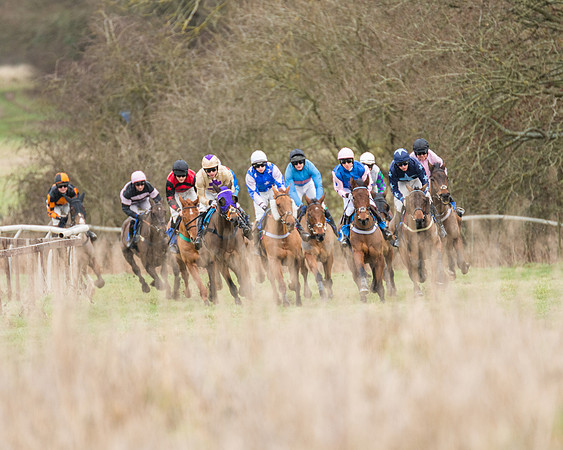 Race 1 - Conditions - Veteran Horse  (39 of 88)