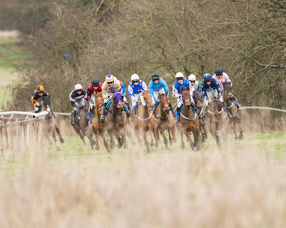 Race 1 - Conditions - Veteran Horse  (40 of 88)