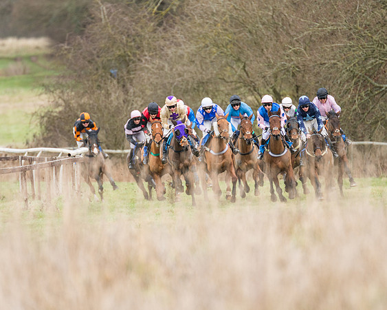 Race 1 - Conditions - Veteran Horse  (41 of 88)