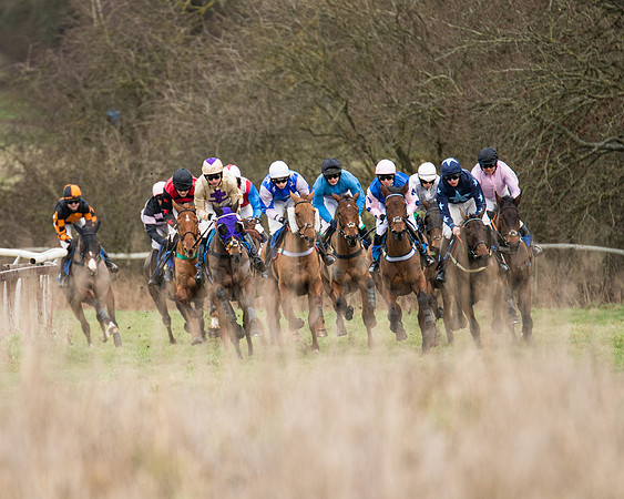 Race 1 - Conditions - Veteran Horse  (42 of 88)