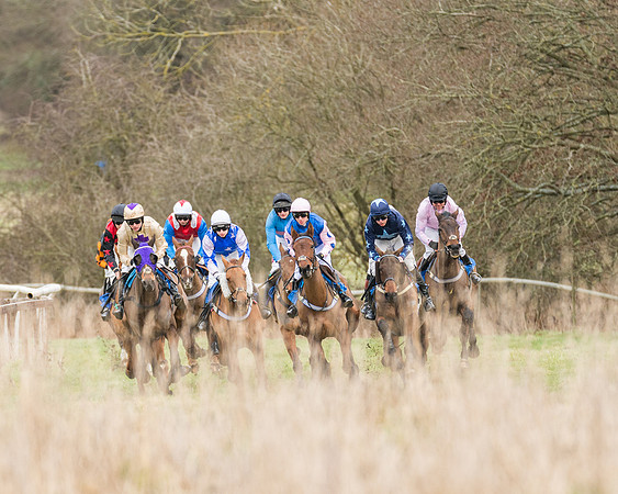 Race 1 - Conditions - Veteran Horse  (43 of 88)