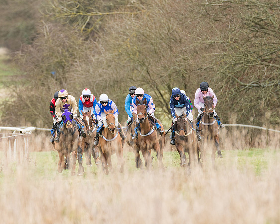 Race 1 - Conditions - Veteran Horse  (44 of 88)