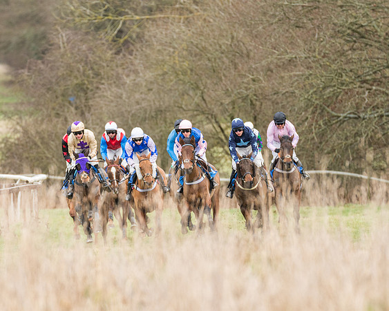 Race 1 - Conditions - Veteran Horse  (45 of 88)