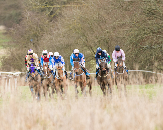 Race 1 - Conditions - Veteran Horse  (46 of 88)