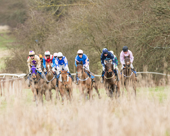 Race 1 - Conditions - Veteran Horse  (47 of 88)