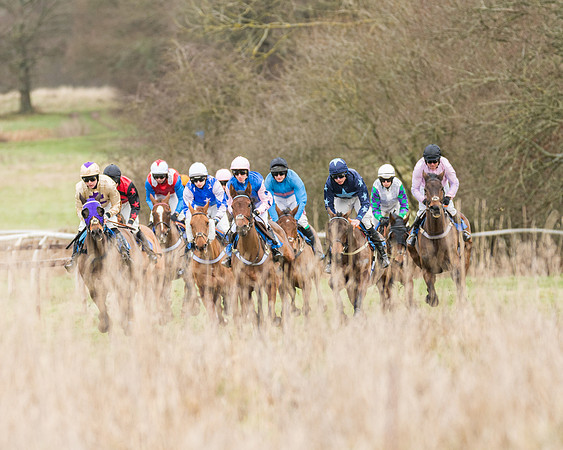 Race 1 - Conditions - Veteran Horse  (49 of 88)