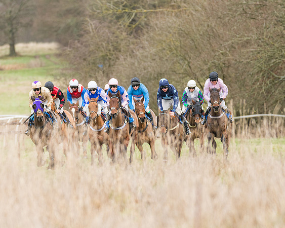 Race 1 - Conditions - Veteran Horse  (50 of 88)