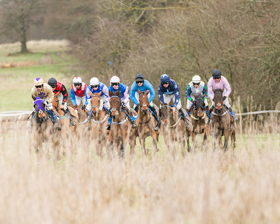 Race 1 - Conditions - Veteran Horse  (51 of 88)