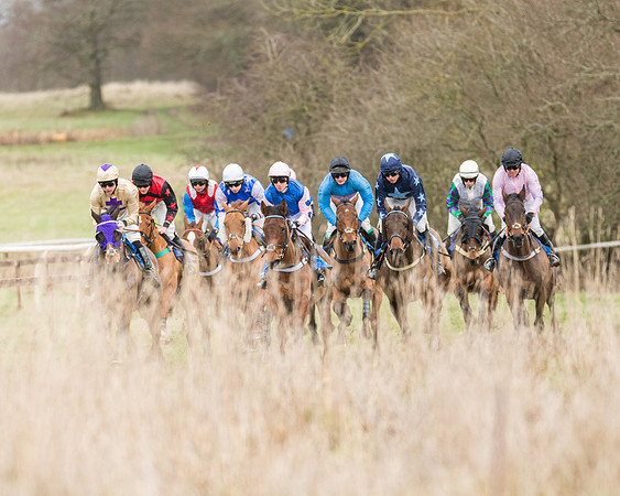 Race 1 - Conditions - Veteran Horse  (52 of 88)