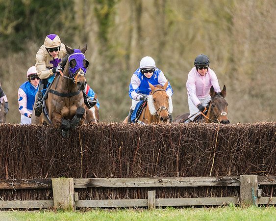 Race 1 - Conditions - Veteran Horse  (55 of 88)