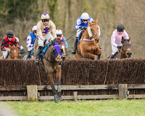 Race 1 - Conditions - Veteran Horse  (58 of 88)